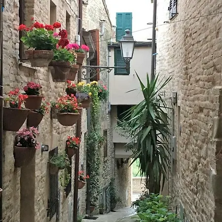 Apartman La Casetta A Torre Di Palme *